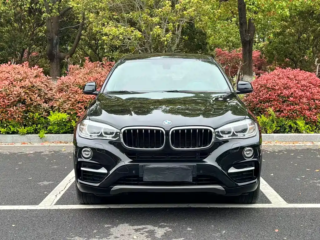BMW X6 2017 — фото 2