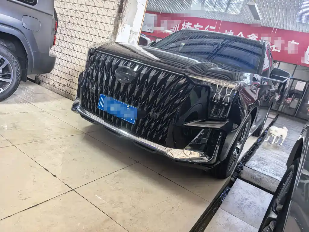 GAC Trumpchi GS8 2022 — фото 1