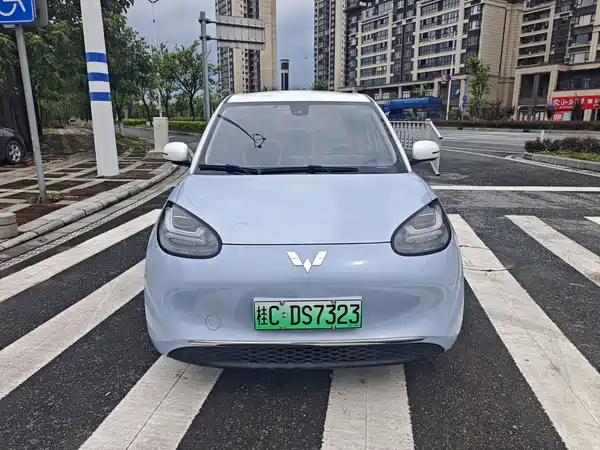 Wuling Bingo 2024