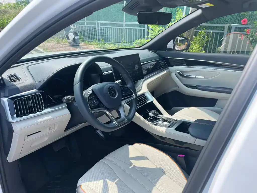 BYD PLUS New Energy 2022 — фото 13