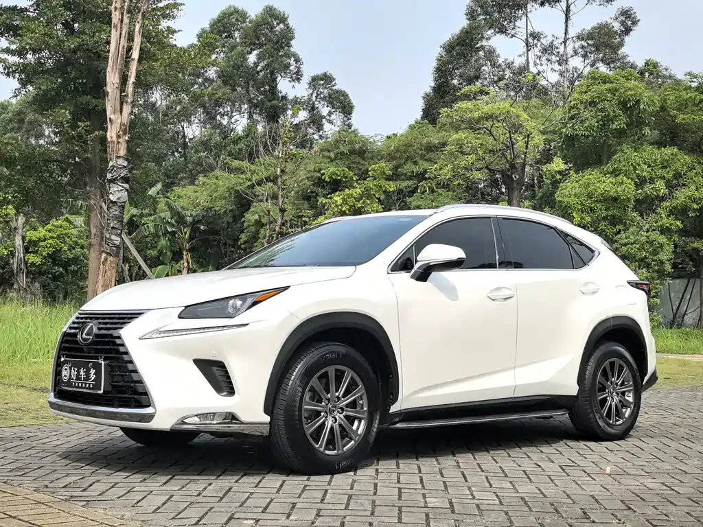 Lexus NX 2021 — фото 1