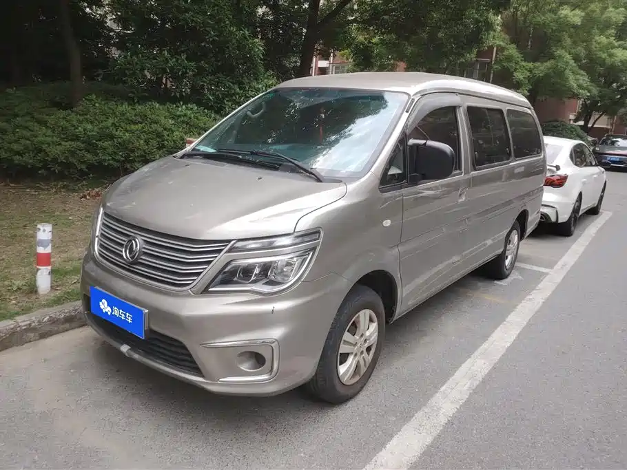 Fengxing Lingzhi 2019