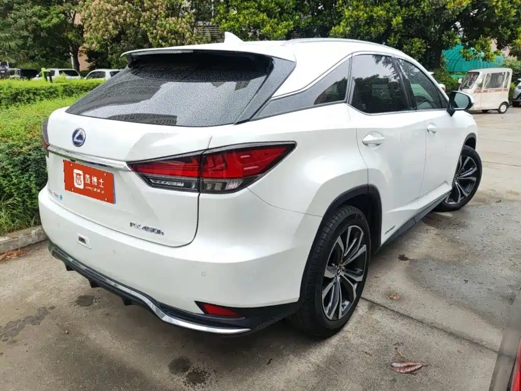 Lexus RX 2020 — фото 2