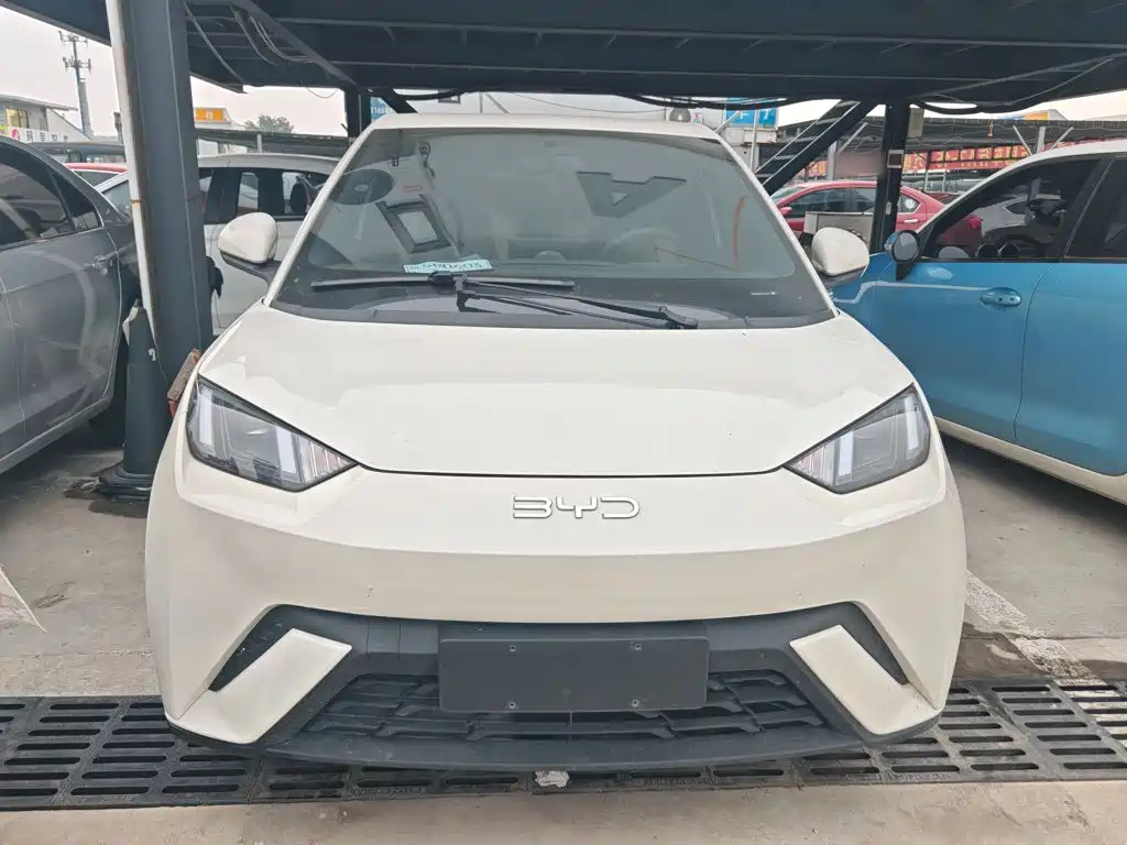 BYD Seagull 2024