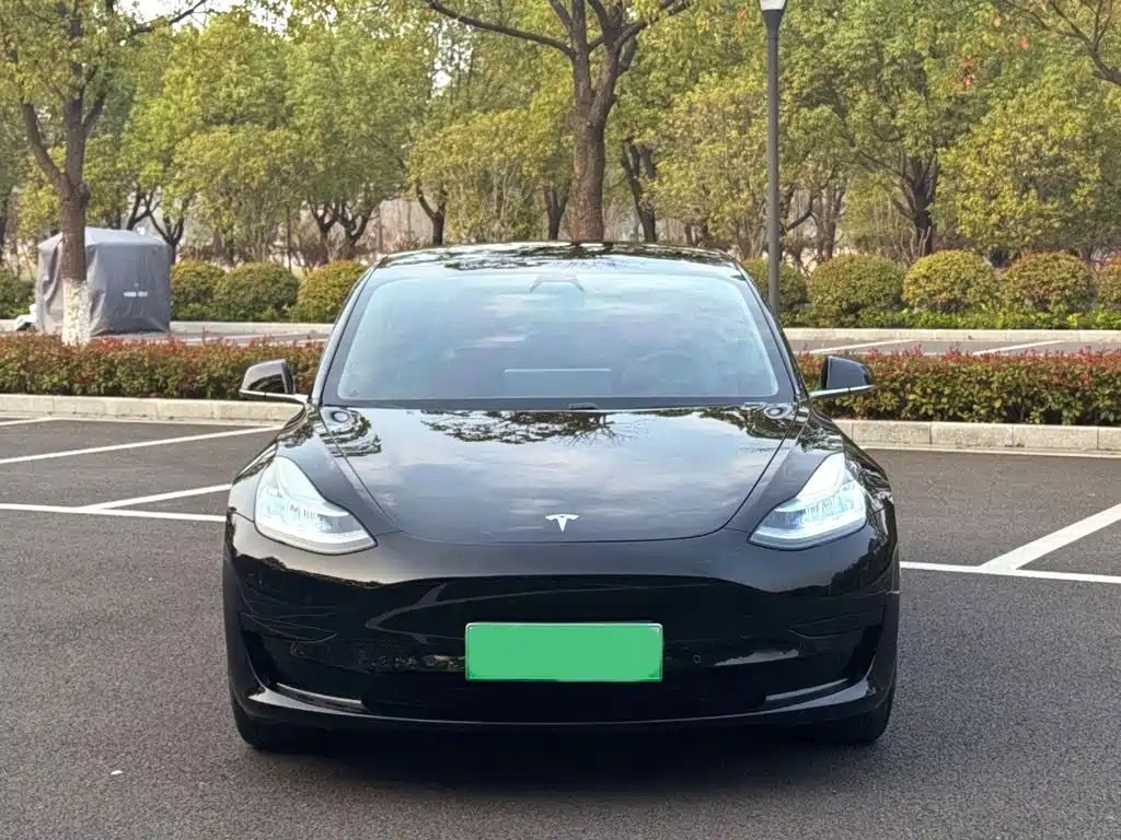 Tesla Model 3 2020 — фото 1