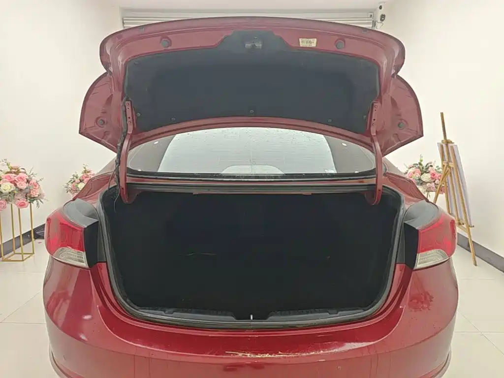 Hyundai Elantra Langdong 2015 — фото 19