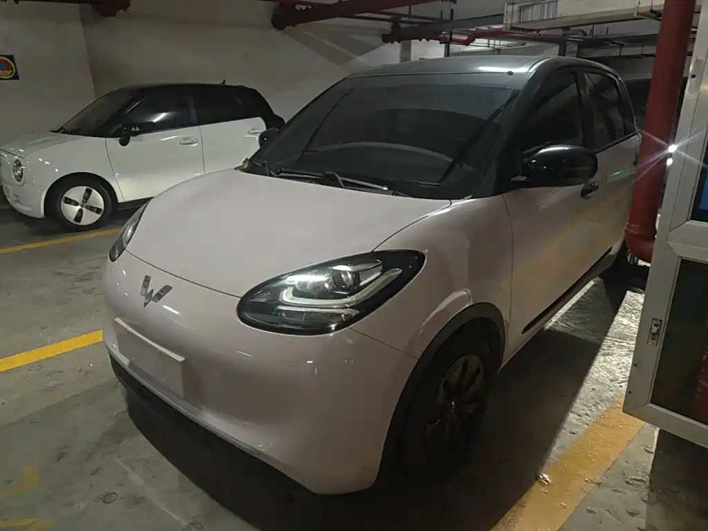 Wuling Bingo 2024