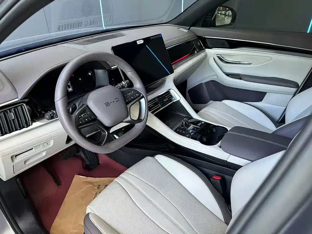 BYD Song PLUS New Energy 2025 — фото 11