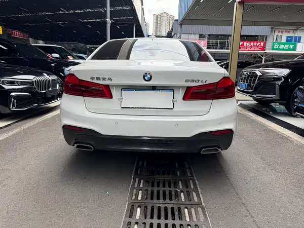BMW 5 Series 2020