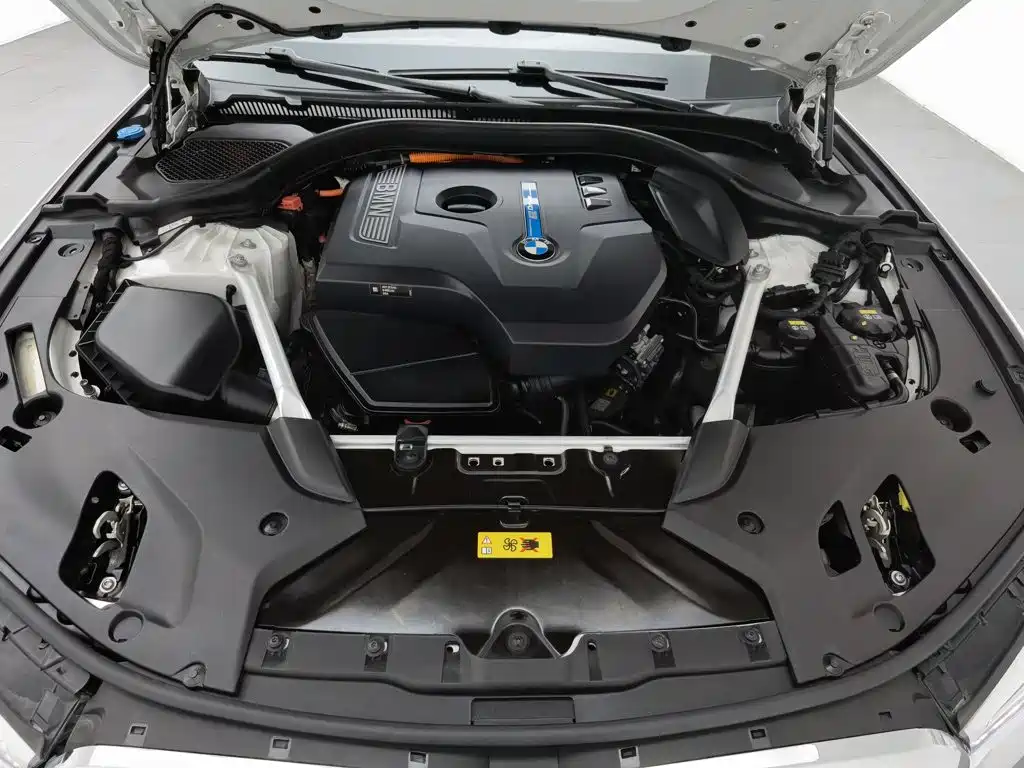 BMW 5 Series New Energy 2020