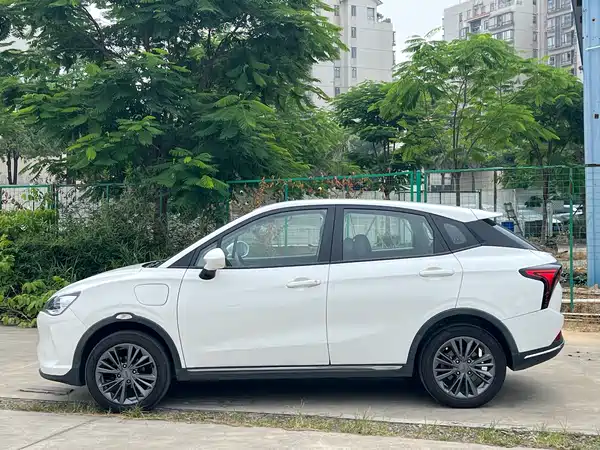 Neta V 2022