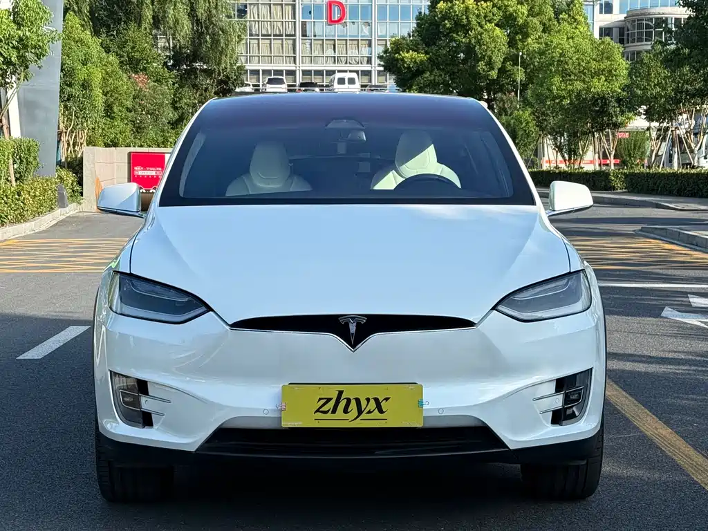 Tesla Model X 2017 — фото 18