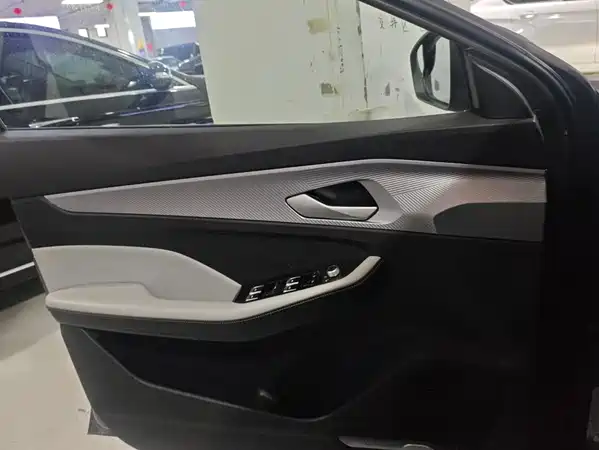 Geely Binrui 2023