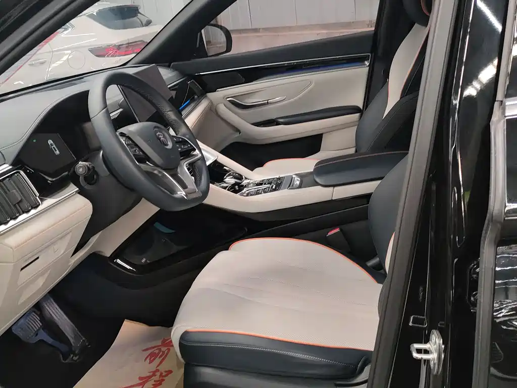 BYD PLUS New Energy 2023 — фото 12