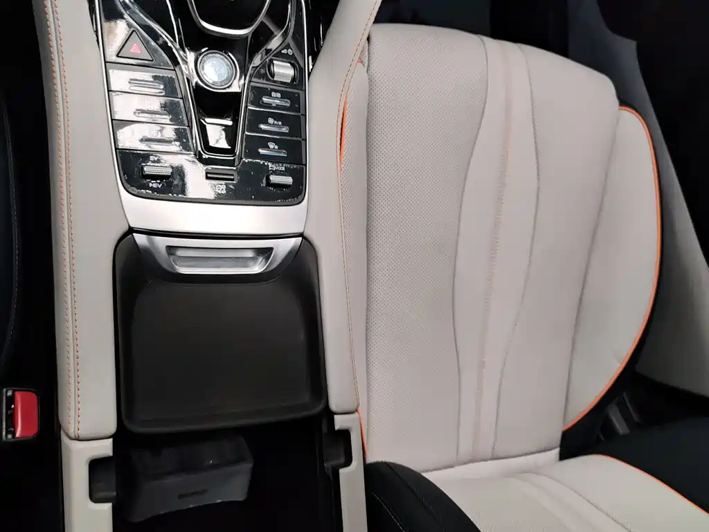 BYD PLUS New Energy 2023 — фото 16