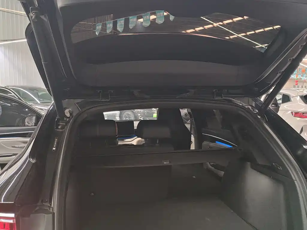 BYD PLUS New Energy 2023 — фото 19