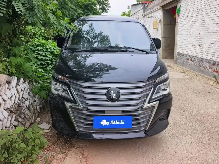 Fengxing Lingzhi 2023