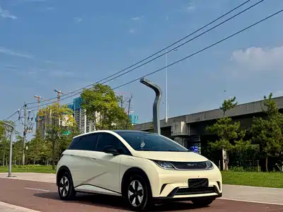 BYD Dolphin 2024