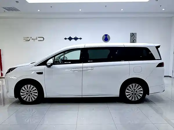 BYD Summer 2025