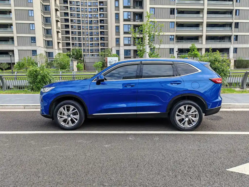 Haval H6 2021 — фото 11