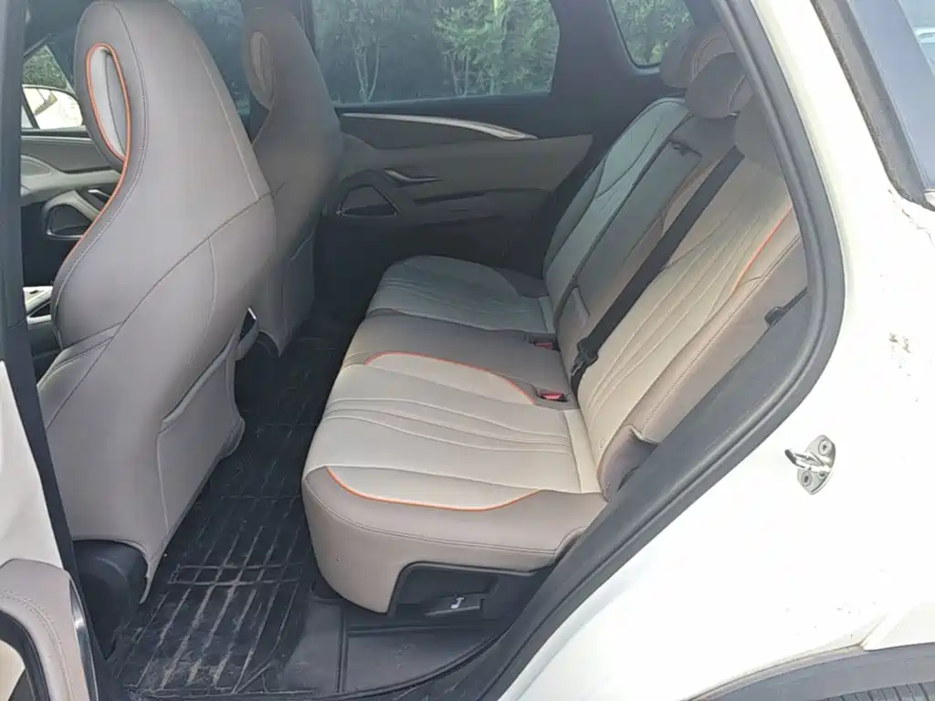 BYD Song Pro New Energy 2024 — фото 17