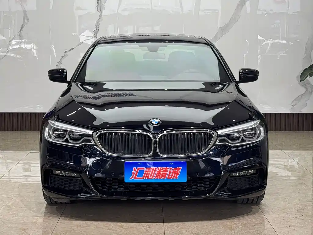 BMW 5 Series 2019 — фото 2