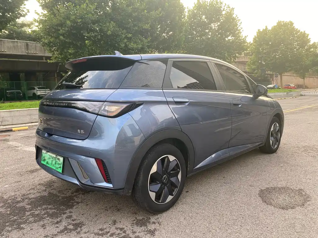 BYD Dolphin 2024