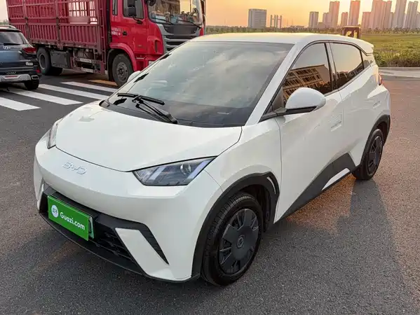 BYD Seagull 2025