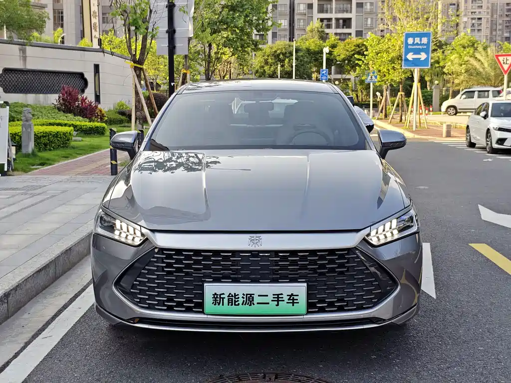 BYD Qin PLUS 2024 — фото 2