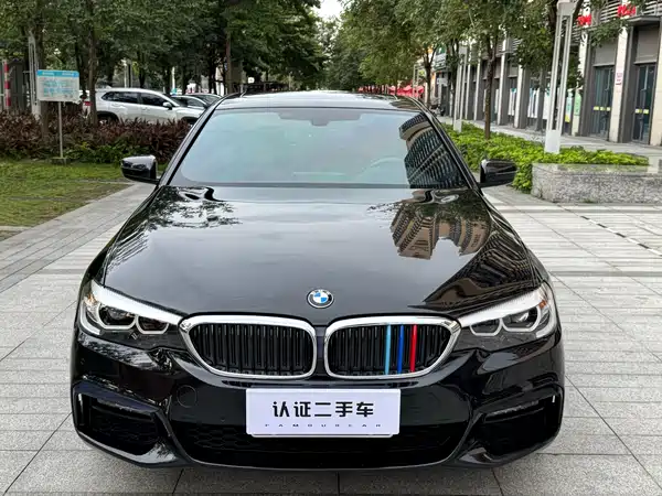 BMW 5 Series 2019