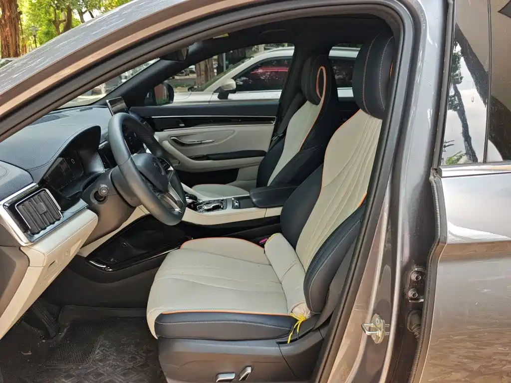 BYD Song PLUS New Energy 2022 — фото 17