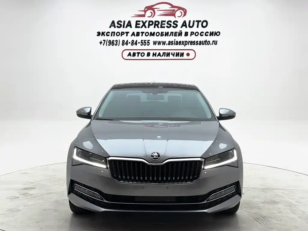Skoda Speedy 2024