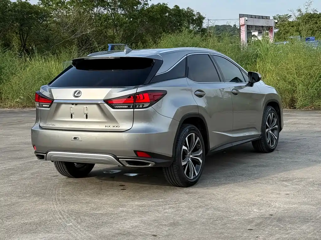 Lexus RX 2021 — фото 14