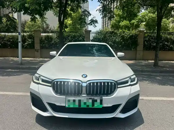BMW 5 Series New Energy 2020