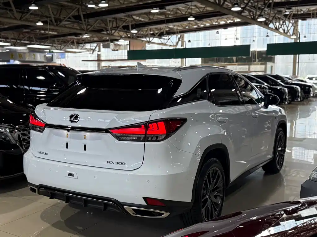 Lexus RX 2020 — фото 21