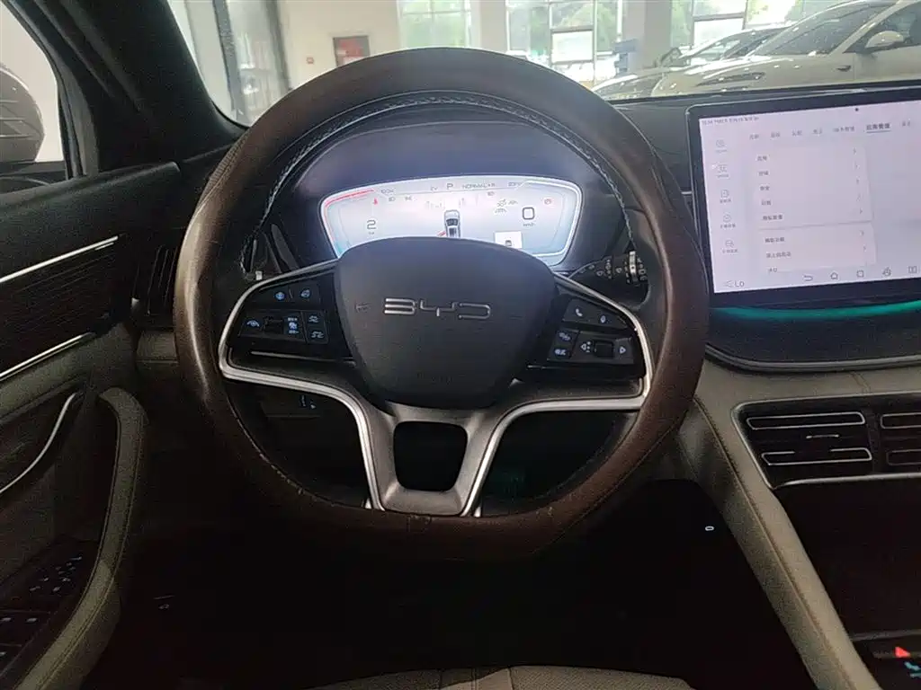 BYD PLUS New Energy 2024 — фото 11