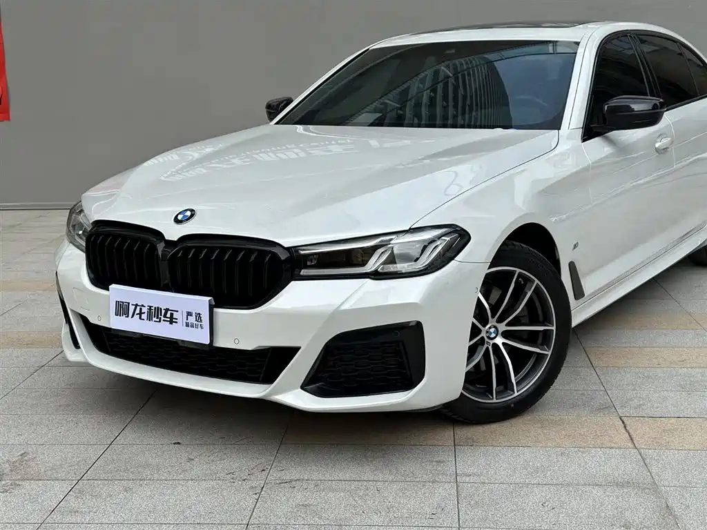 BMW 5 Series 2021 — фото 19