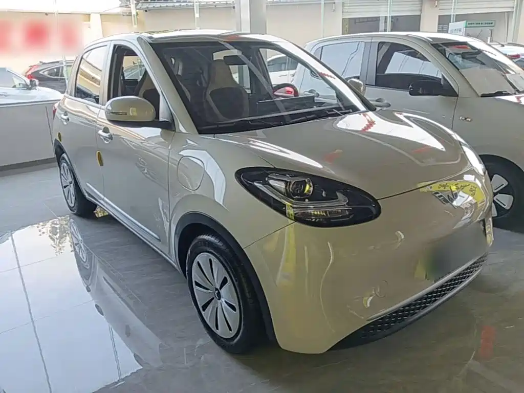 Wuling Bingo 2024