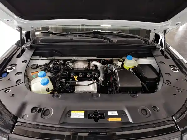 Dongfeng e008 2024