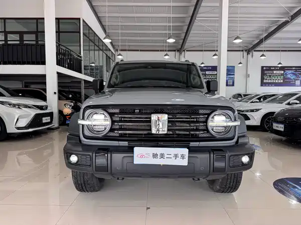 Tank 300 2021