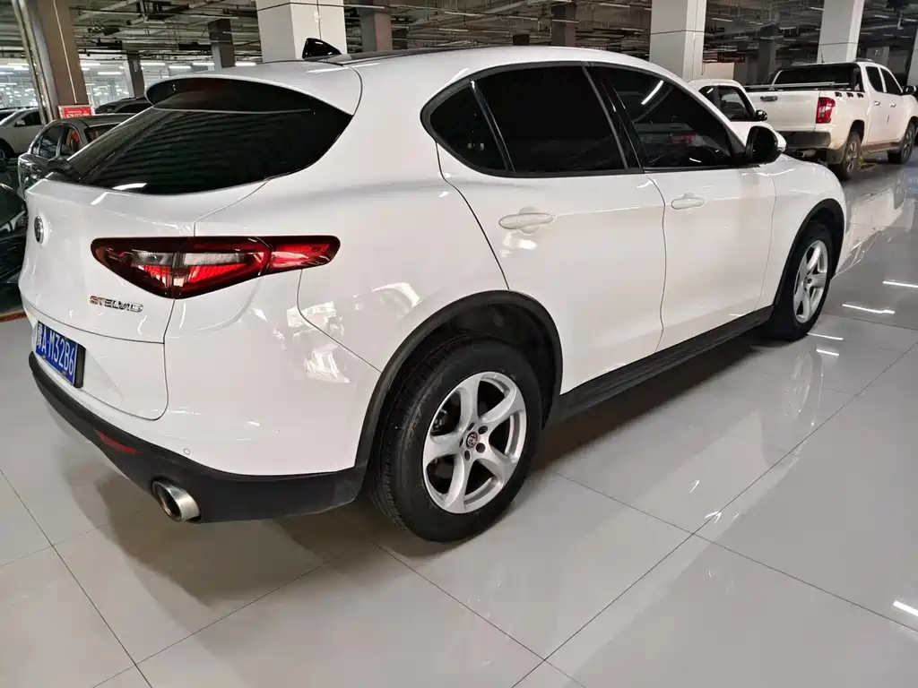 Alfa Romeo Stelvio 2019 — фото 11