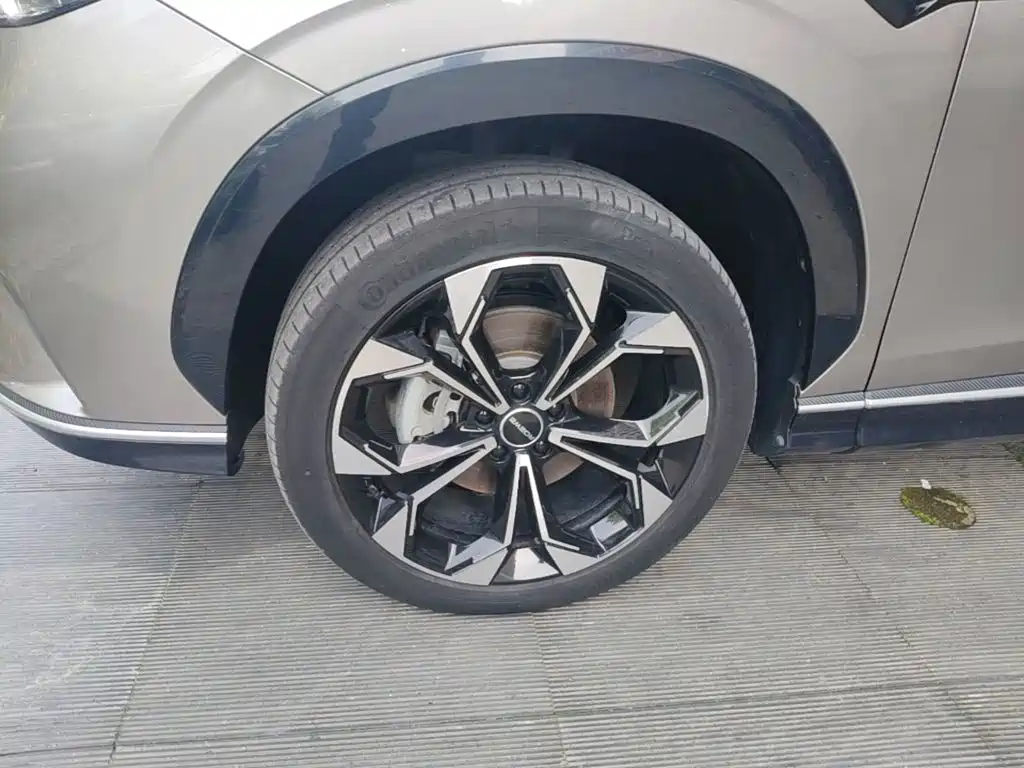 Roewe RX5 New Energy 2024 — фото 25