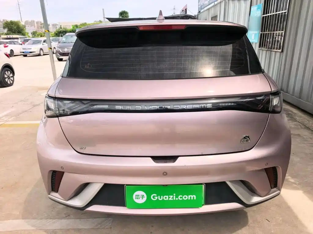 BYD Dolphin 2022