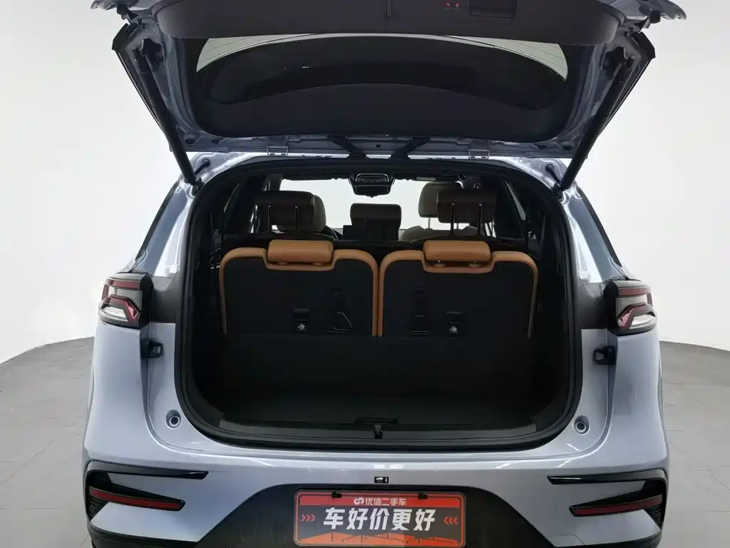 BYD Tang New Energy 2023 — фото 16