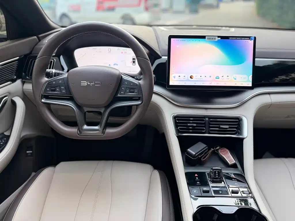 BYD Song PLUS New Energy 2025 — фото 14