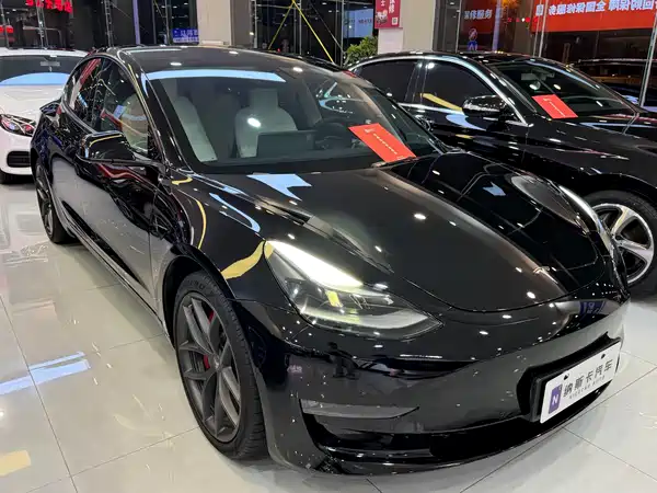 Tesla Model 3 2021