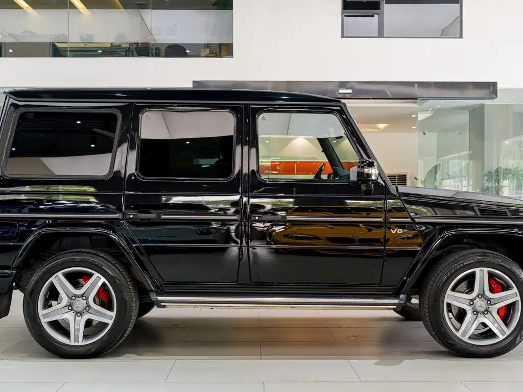 Mercedes-Benz G-Class 2010 — фото 20