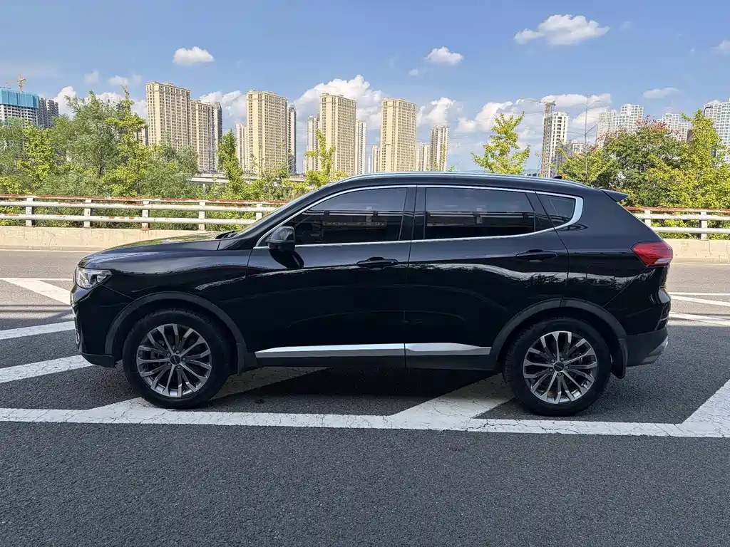 Haval H6 2019 — фото 11
