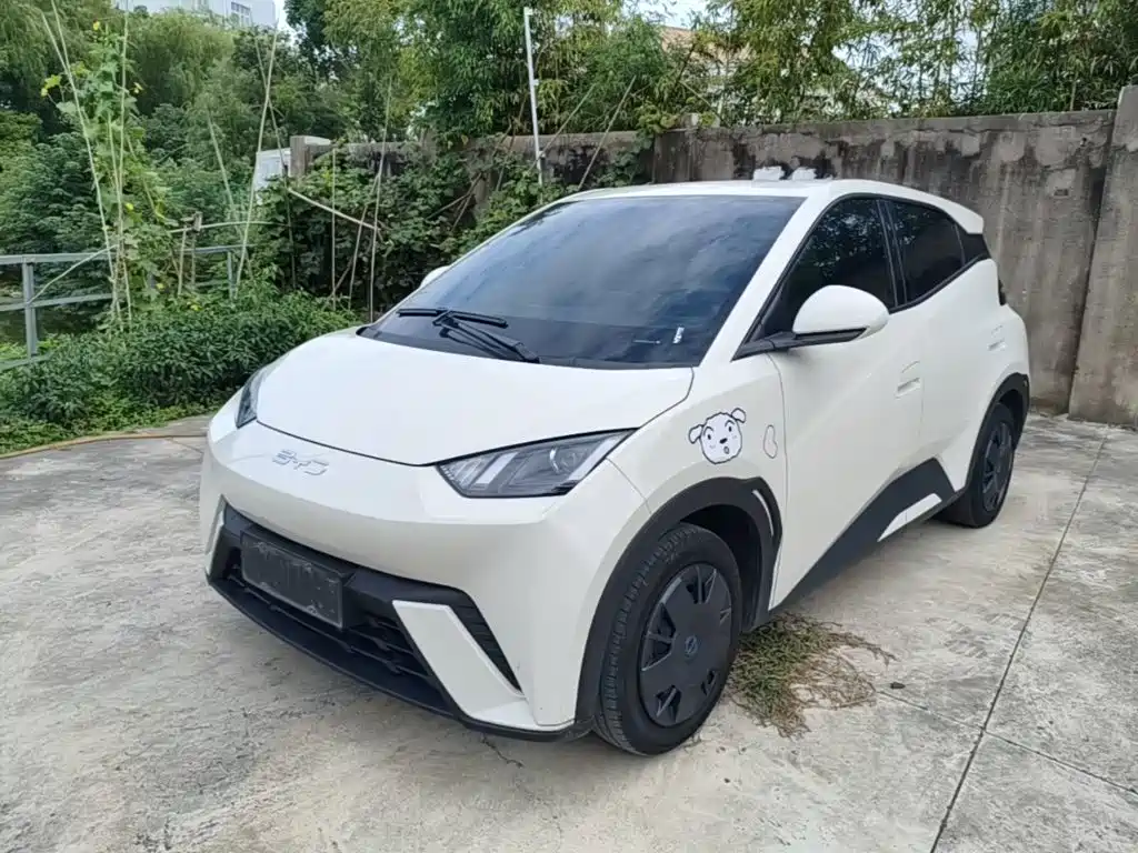 BYD Seagull 2024