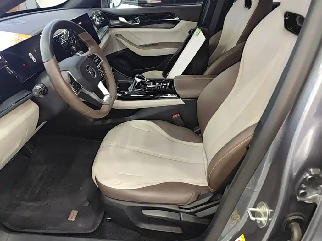 BYD Qin PLUS 2023 — фото 15